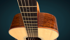 Froggy Bottom M dlx Guatemalan rosewood guitar fretboard