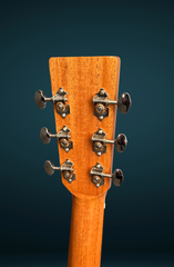 Froggy Bottom M dlx Guatemalan rosewood guitar with Waverly tuners