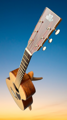 Froggy Bottom M dlx Guatemalan rosewood guitar promo shot