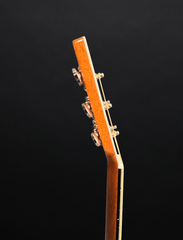 Froggy Bottom M dlx guitar neck side dots