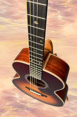 Froggy Bottom M dlx guitar sky shot fretboard