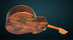 Froggy Bottom M Ltd Brazilian rosewood guitar glam shot back