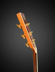 Froggy Bottom M Ltd Brazilian rosewood guitar side dots on the neck
