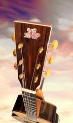 Froggy Bottom M Ltd Brazilian rosewood guitar promo sky shot