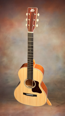 Froggy Bottom R12 mahogany guitar for sale