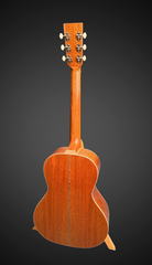 Froggy Bottom R-14 Dlx guitar #R2596 full back view