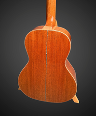 Froggy Bottom R-14 guitar #R2596 back
