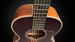 Froggy Bottom R-14 Dlx guitar #R2596 fret markers