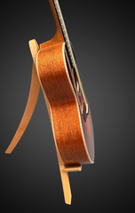 Froggy Bottom R-14 Dlx guitar #R2596 side