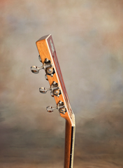 Froggy Bottom H12fc Guatemalan rosewood guitar neck side dots