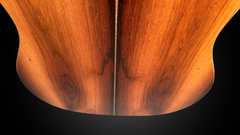 Goodall Brazilian rosewood Concert Standard guitar low back vie