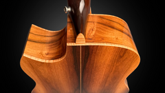 Goodall Brazilian rosewood Concert Standard guitar curly maple heel cap and bindings