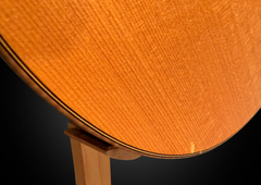Goodall Brazilian rosewood Concert Standard guitar top ding