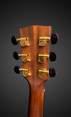 Goodall Brazilian rosewood Concert Standard guitar gold Schaller tuners