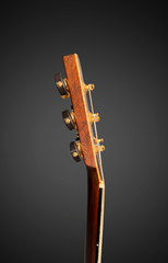 Goodall Brazilian rosewood Concert Standard guitar neck side dots