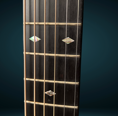 Goodall RS guitar ebony fretboard