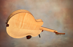Ken Parker acoustic archtop guitar glam shot full back