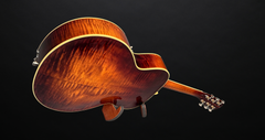 Kim Walker Archtop glam shot back