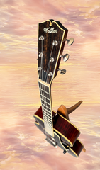 Kim Walker Archtop promo shot