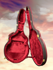Klein Kauffman Pink Ivory guitar case interior