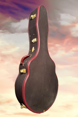 Klein Kauffman Pink Ivory guitar Ameritage case