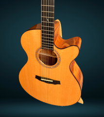L J Williams Tui Ancient Kauri guitar with Kauri top