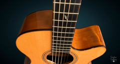 L J Williams Tui Ancient Kauri rosewood binding