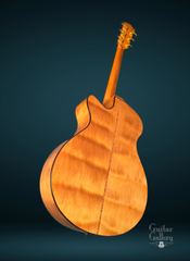 L J Williams Tui Ancient Kauri glam shot back