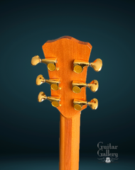 L J Williams Tui Ancient Kauri Gotoh 510 tuners