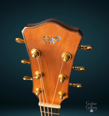 L J Williams Tui Ancient Kauri headstock