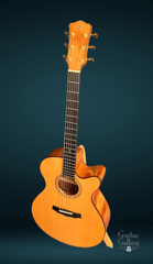 L J Williams Tui Ancient Kauri for sale
