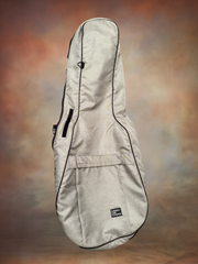 Langejans 12 string guitar with Colorado Case cover