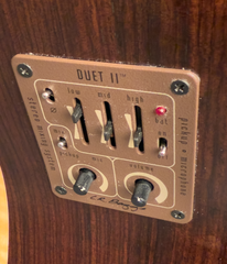 Langejans 12 string guitar pickup controls