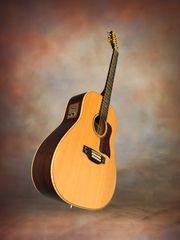 Langejans 12 string guitar glam shot