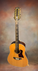 Langejans 12 string guitar for sale