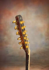 Langejans 12 string guitar side dots on neck