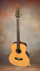Langejans R-6 acoustic Baritone guitar for sale