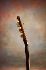 Langejans R-6 acoustic Baritone guitar neck side dots
