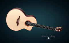 Lowden S50J Ziricote guitar glam shot