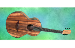 Lowden S-50 12 Fret All Koa guitar glam shot