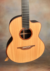Lowden Ancient Bog F50c guitar with Lutz spruce top