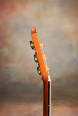 Lowden O23x custom Walnut guitar side dots