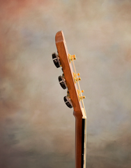 Lowden Pierre Bensusan 'Old Lady" guitar neck side dots