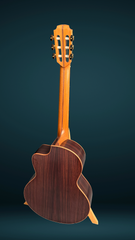 Lowden S25J nylon string guitar full back view