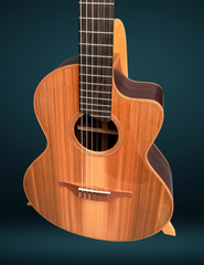 Lowden S25J nylon string guitar with driftwood Cedar top