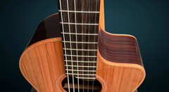Lowden S25J nylon string guitar ebony fretboard