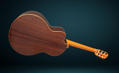 Lowden S25J nylon string guitar glam shot back