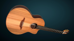 Lowden S25J nylon string guitar glam shot front