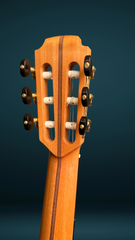 Lowden S25J nylon string guitar laminated neck