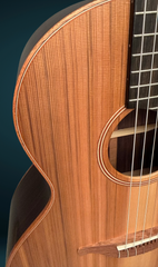 Lowden S25J nylon string guitar beautiful top wood grain